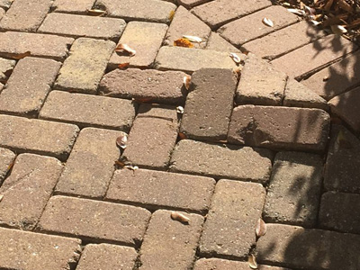 Paver Restoration & Repair